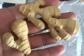 一桌价值500000000菜肴盛宴 包你没见过！图片