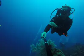 世界最美潜水胜地之一巴厘岛图兰奔，海底美景探秘图片