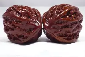 文玩核桃到底有哪些种，（多图）图片