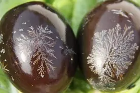 中秋节吃美味松花蛋不宜多！图片