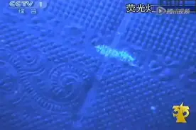 央视曝光！这种卫生纸千万不要用，严重会导致癌症！图片