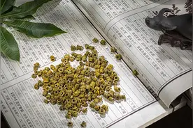 铁皮石斛对哪些人群最有效？图片