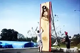 狗狗超猛、跳远、跳高、拉车图片