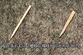 一根牙签的故事图片