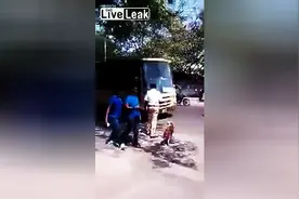 这狗让很多乱过马路的人汗颜，交警帮狗狗过马路，狗狗一直等车停图片
