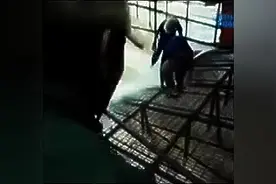 又见高能的捕鱼工具，河里的大鱼一条也逃不了图片