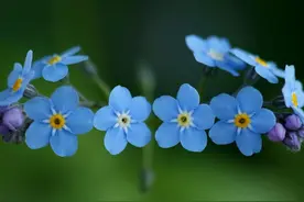 蓝色系(blue)心理意义以及清色调的色彩搭配方法-上图片