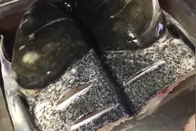 马仁奇峰：柴火土灶秘制胖头鱼全过程图片