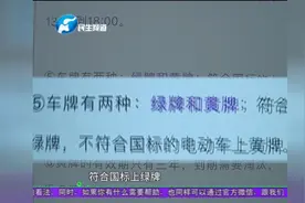 郑州电动车上牌已实施一周 黄牌绿牌有何不同？