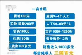 种一亩水稻的收益只需打3天工，这就是农民不种地的原因视频封面