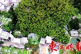 惠州高海拔村庄遍地冰渣图片