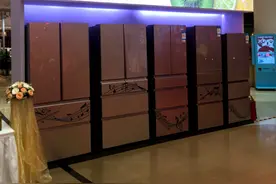 海尔冰箱首个达标新国标1级为每个家庭年省约50元图片