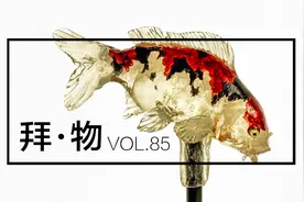 拜物｜把这些 3D 生物棒棒糖放进嘴巴是种什么感觉图片