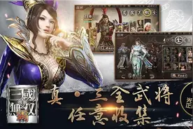 手机版真实的还原《真三国无双：霸》将袭图片