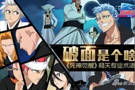 《死神觉醒》相关专业术语介绍 破面是什么图片