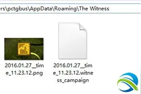 见证者The Witness存档位置一览图片