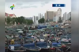 惠州大亚湾：“海马”造成狂风暴雨视频封面