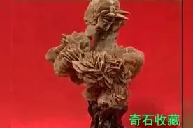 小小的一块石头公认1.3亿，真叫价值连城视频封面