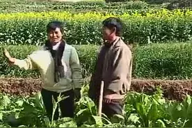 民间小调《分家不均打破脑门》上集视频封面