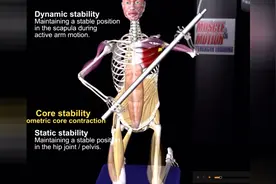 3D动画课堂 旋转训练都有哪些形式？请听张老师讲解