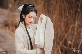 小说：皇帝喜欢丞相长女，但她心有所属逃跑了，皇帝把丞相扣押了图片