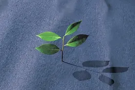 小说：末世降临，首先要有一辆超级房车！图片