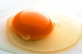 为什么鸡蛋蛋黄的旁边，有一条白色的线？今天总算知道了视频封面