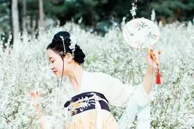 小说：穿书女反派，本享受着六个哥哥团宠的幸福，结果男反派来了图片