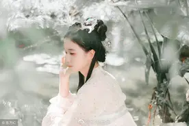 小说：老虎从天而降，大战狼群图片