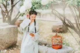 小说：嫡女向来循规蹈矩，却婚礼上临时换新郎，做出惊世骇俗之举图片