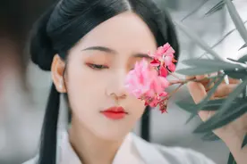 小说：贵小姐拿出自己的私房钱，让家仆出门办事，竟是做了大筹谋图片