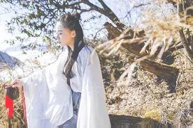 小说：他镇守边关十年，竟遭权贵暗中合谋，将他族人赶尽杀绝图片