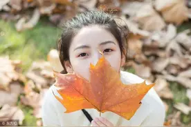 小说：劫后重生图片