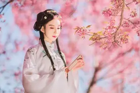 小说：穿越大秦，发展科技，创造盛世图片