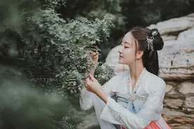 小说：青阳城炼丹盛会！林枫的试炼之路初步开启图片