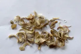 古人认为指甲可以入药，它到底有什么作用呢?