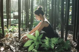 小说：订婚当天，所有宾客都到了，订婚却被迫取消了图片