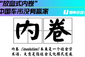 “放血式内卷”，中国车市没有赢家视频封面