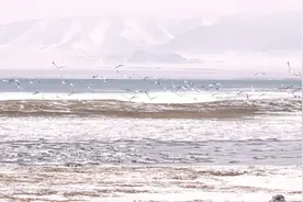 春节特辑【初九】：青海-西王母瑶池视频封面
