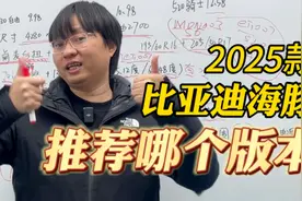 销冠再进化！购买推荐 2025款比亚迪海豚智驾版视频封面