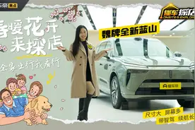尺寸大，屏幕多，带智驾！探店魏牌全新蓝山，全家出行真不错！