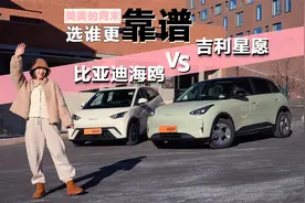 美美的周末选谁更靠谱 吉利星愿还是比亚迪海鸥视频封面