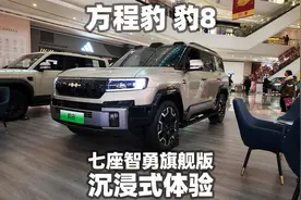【大熊沉浸式试车】方程豹 豹8七座智勇旗舰版~沉浸式体验视频封面