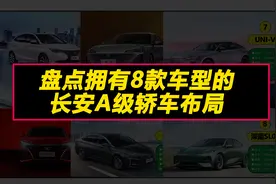 盘点拥有8款车型的长安A级车布局图片