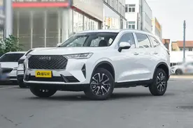 哈弗H6 2024款 1.5T 自动两驱经典版大概怎么样？图片