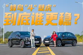 “蜂鸟”斗“壁虎”！凯迪拉克全新XT5对战奥迪Q5L，谁更稳？