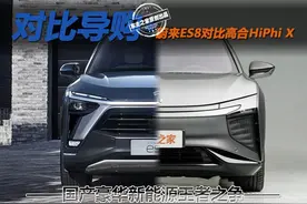 国产豪华新能源王者之争 高合HiPhi X对比蔚来ES8图片