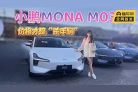 小鹏MONA M03上市，抄底价格和顶尖智驾，使出双“杀手锏”！视频封面