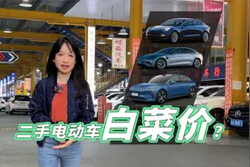 新能源车集体降价 二手车要卖白菜价了？视频封面