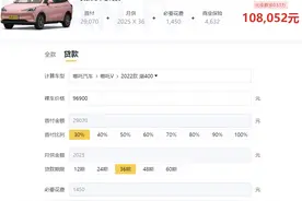 哪吒V，指导价9.69万，第一年平均每个月所需费用约540元图片